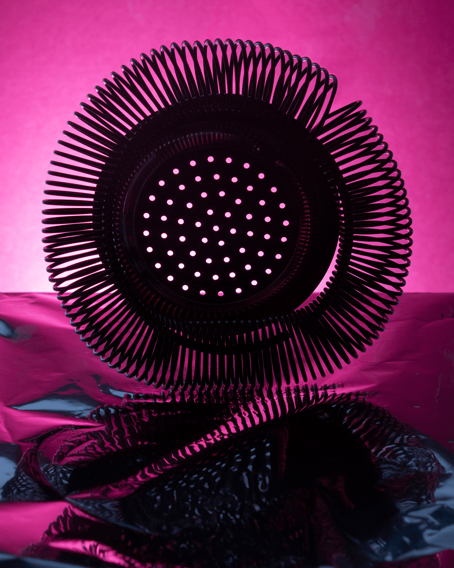 Photography - Still Life