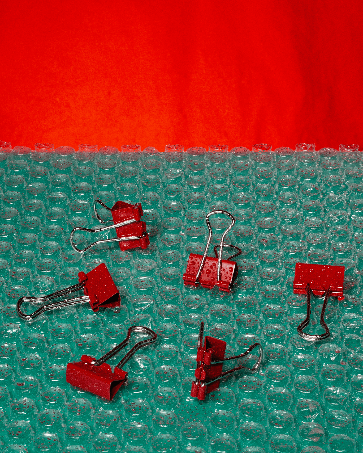 Photography - Still Life — detail 2